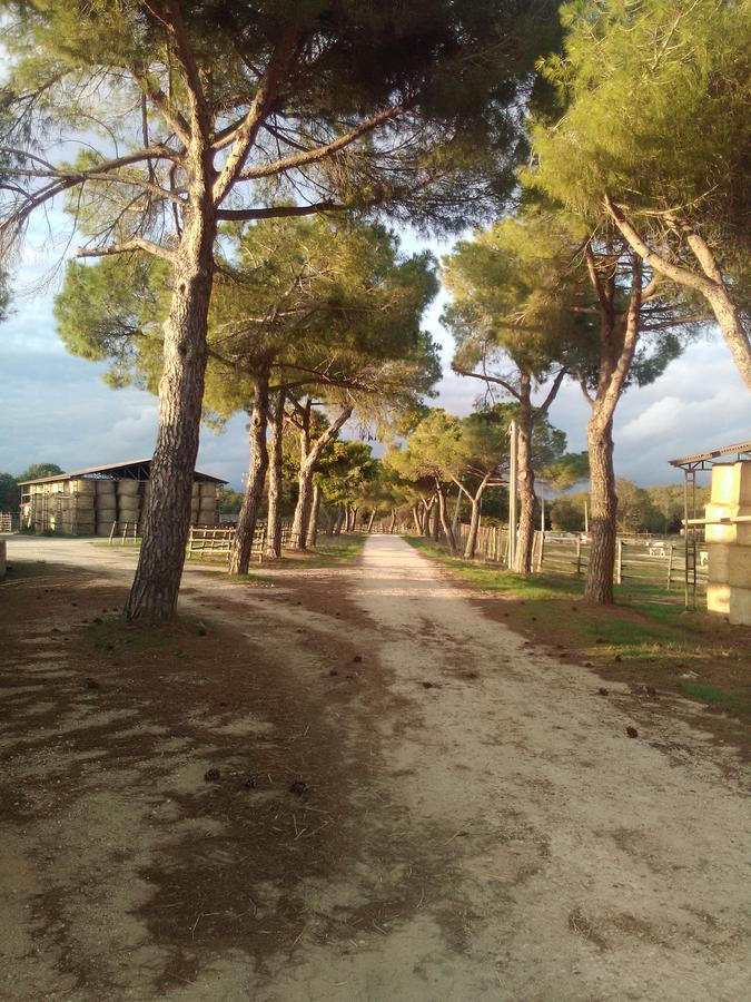 Biocampus La Roccaccia - Universita' Agraria Di Tarquinia Exteriör bild
