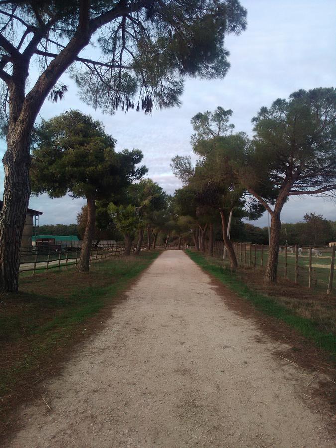 Biocampus La Roccaccia - Universita' Agraria Di Tarquinia Exteriör bild