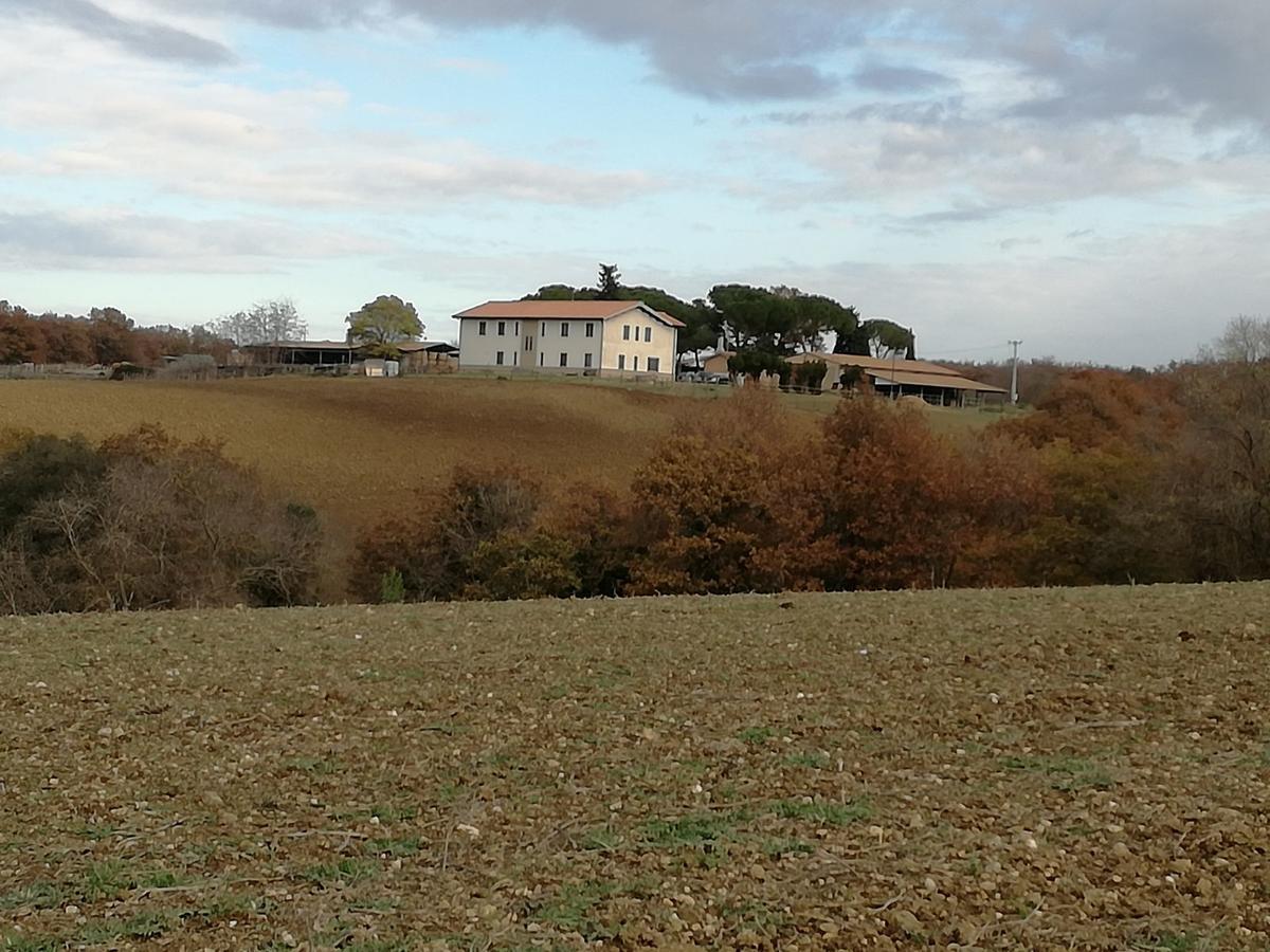 Biocampus La Roccaccia - Universita' Agraria Di Tarquinia Exteriör bild