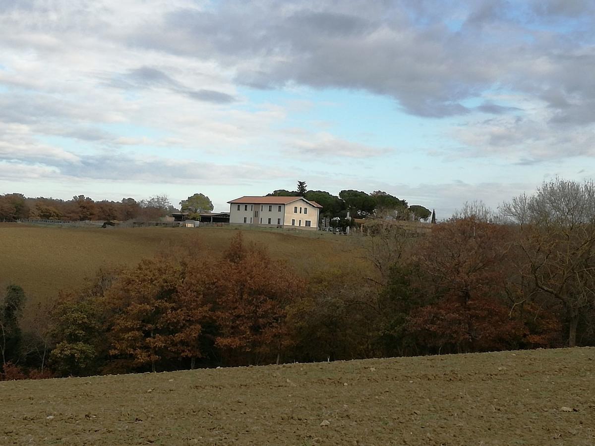 Biocampus La Roccaccia - Universita' Agraria Di Tarquinia Exteriör bild